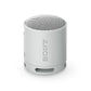 Sony XB100 Portable Wireless Speaker