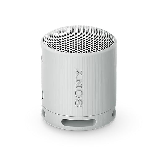 Sony SRS-XB100H Portable Wireless Speaker - Grey
