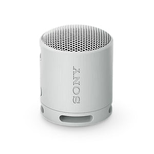 Sony SRS-XB100H Portable Wireless Speaker - Grey