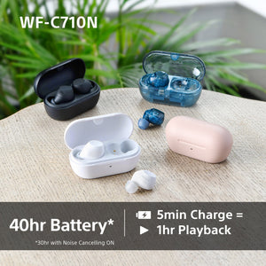 Sony WF-C710NB Truly Wireless Noise Cancelling Earbuds, Lightweight Headphones, Touch Controls, Multipoint Connection, IPX4, up to 40 HR battery, Quick Charge, iOS & Android - Black