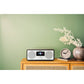 Panasonic RF-D40EG-K Internet/DAB & FM Radio