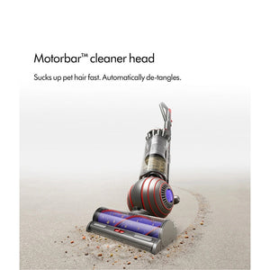 Dyson BALLANIMALORIG2 Dyson Ball Animal Origin