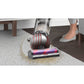 Dyson BALLANIMALMF2 Dyson Ball Animal Multi-Floor - Copper/Nickel