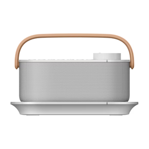 OPEN BOX Sony SRSLSR200 Wireless Handy TV speaker